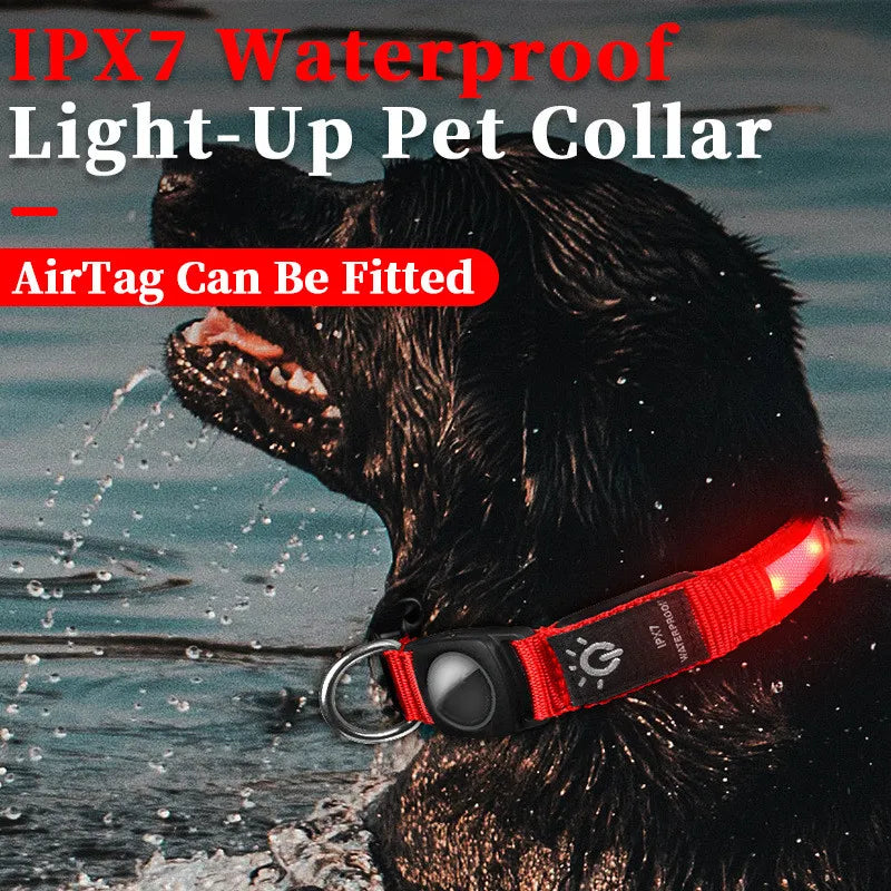 LED Dog Collar Air Tag